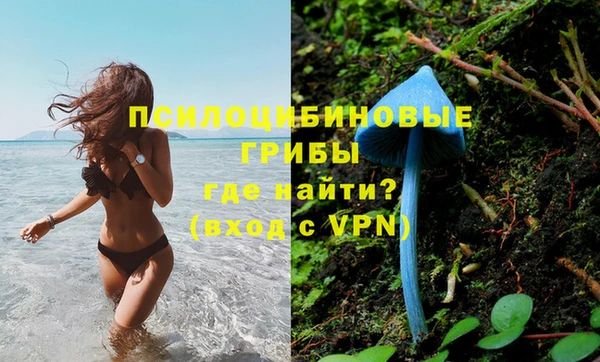 COCAINE Богородск