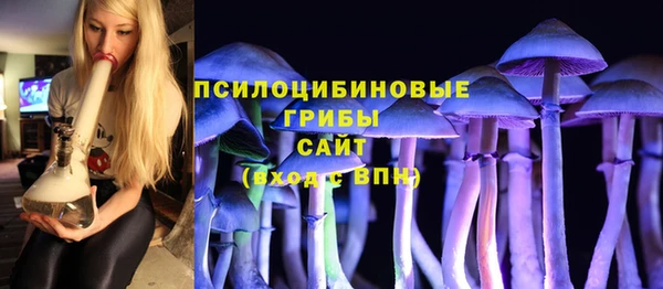 COCAINE Богородск