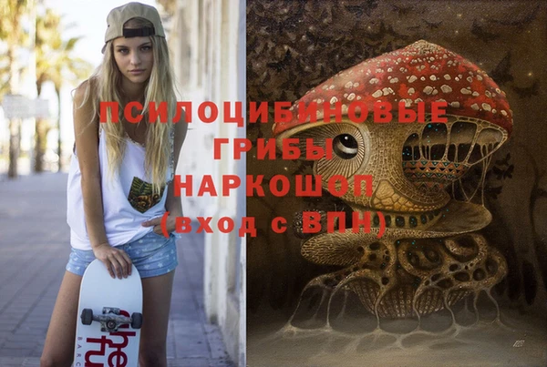 наркотики Богданович