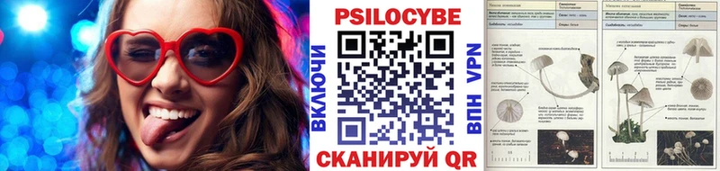 Галлюциногенные грибы Psilocybe  наркошоп  дарк нет состав  Острогожск 